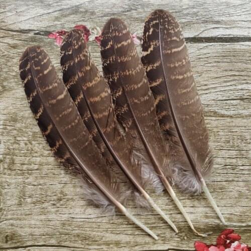 Beautiful Wholesale 10pcs Natural Pheasant Feather 13-18cm For Wedding Christmas Home Craft Decoration