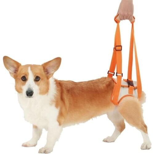 Adjustable Dog Lift Harness for Back Legs Pet Support Sling Help Weak Legs Stand Up Pets Old Dogs Vest Leash Aid Assist Tool
