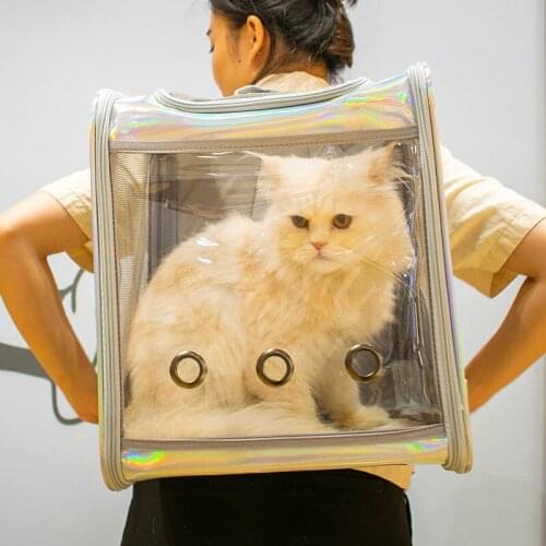 Outside Portable Backpack Large Space Transparent Cat Dog Leather Foldable Bag
