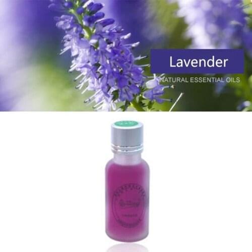 Odor Eliminator Car Air freshener Refill Bottles 20ML Fresh Scent Gifts