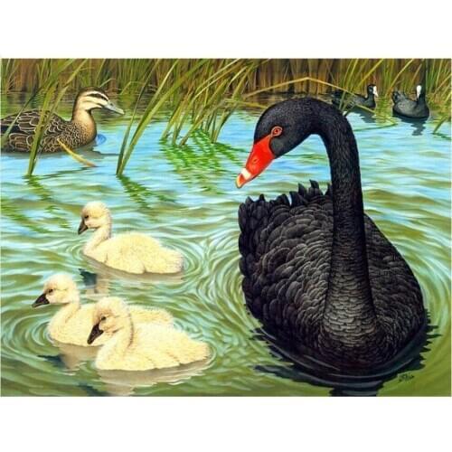Duck Diamond Painting Black Swan Bird Diamond Dots Mosaic Embroidery Picture Crystal Rhinestone Sticker Decal Wall Art Craft