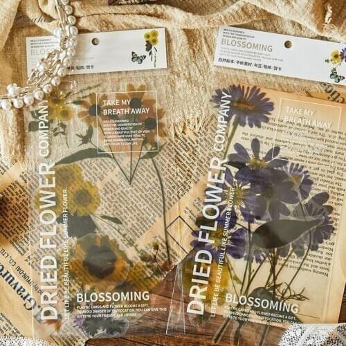 6pcs Vintage Midnight orchid series inflorescence PET sticker package DIY diary Journal decoration sticker album scrapbooking