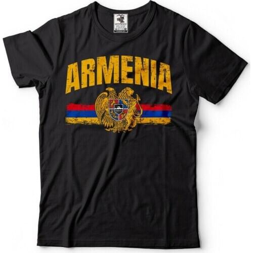 Armenia T-shirt Armenian Heritage Independence Day Mens Tee Shirt Հայաստա Tee T Shirt Retro