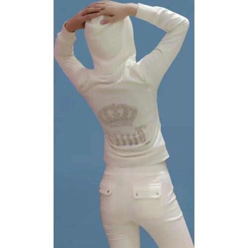 2021 Velvet Fabric Womens Brand Spring/Fall Tracksuits Velour Outfits Hoodies Tops and Sweat Pants Set for Women sportswear