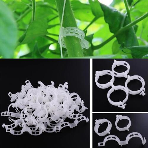 50PCS Tomato Garden Plant Support Clips garden ornaments for Trellis Twine Greenhouse Tomato Plant Grafting Clips