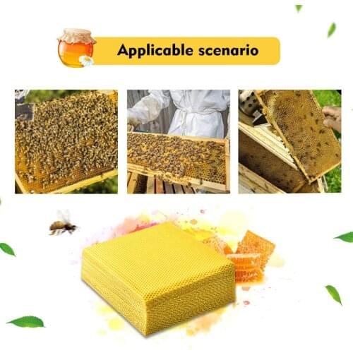30PCS Useful Honeycomb Bee Wax Foundation Beehive Wax Frames Base Sheets Bee Comb Honey Frame Craft Beeswax Sheet Beekeeping#W