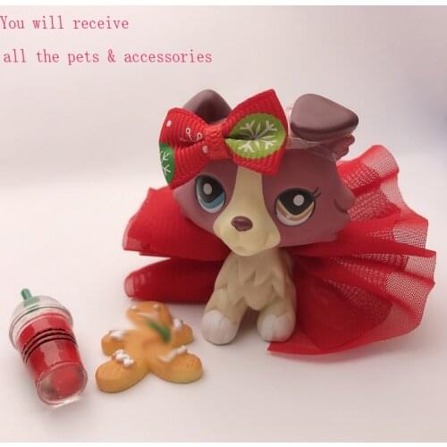Pet Shop Collie Dog #1262 Different Eyes With Accessories Skirt Drink Bow Biscuit Box Lot for Figures Toy Best Gift for Kids