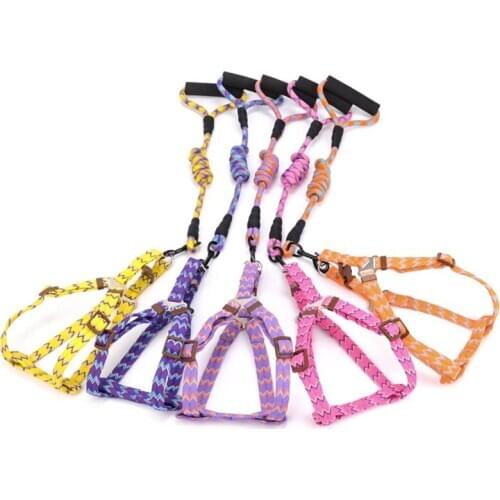 Dog Cat Puppy Collar Pet Dogs Harness Leash Harness Lead Set for Small Dogs Outdoor Sport Harnesses and Leash Nylon Pet Supplies
