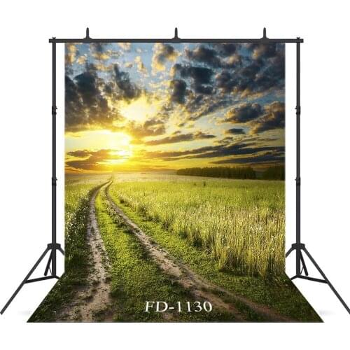 Wheat Field Under The Sunset Vinyl Background For Photo Studio Children Baby Shower New Born Portrait Cloth Photo Backdrop