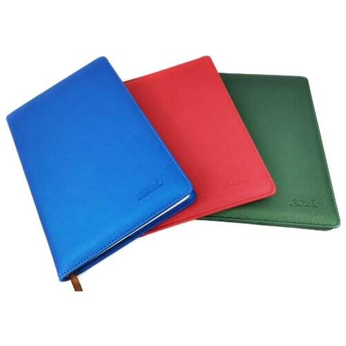 Bikson Diaries And Notebooks