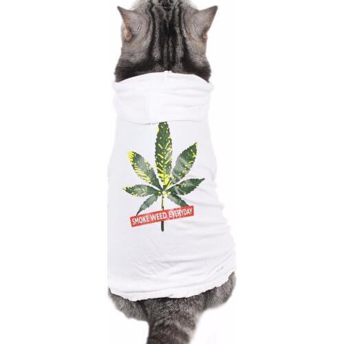 Traumdeutung Cats Clothes Hoodie Small Pets Coat Kitten Clothing Costume For Dogs Clothes Yorkshire Clothing Puppy kattenmand