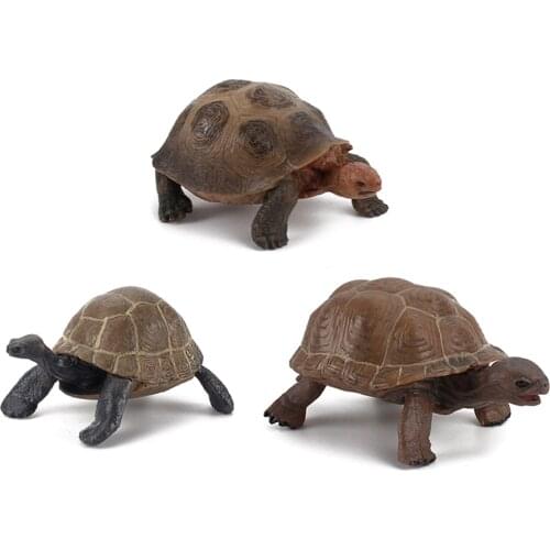 3Pcs Realistic Galapagos Tortoise Animal Model figurines Toys Home Desktop Decoration animal Ornaments action toy