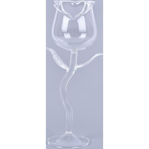 PlumHOME Double Wall Glass Cups