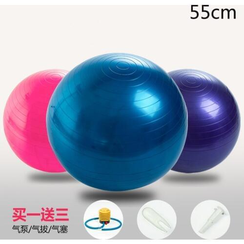 Yoga Fitness Ball 55cm Utility Yoga Balls Pilates Balance Sport Fitball Proof Balls Anti-slip for Fitness Training