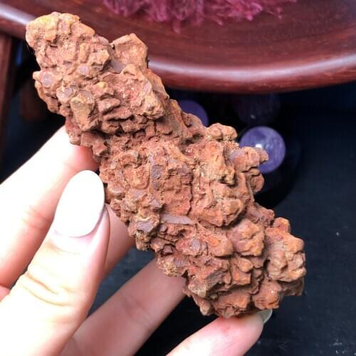 Natural Coprolite or Dinosaur POOPIES Fossil Poop Feces Poo Dung LARGE