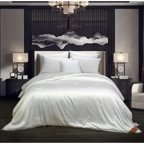 100% Mulberry Silk Comforter 4 Season Duvet Insert Luxury Natural Silk Blanket Satin Bedding Quilt King Queen For Winter Bed