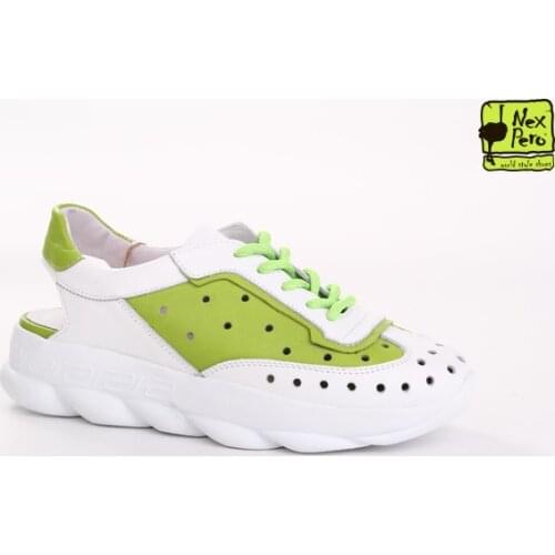 Dino Ricci Goods For Sports And Recreation