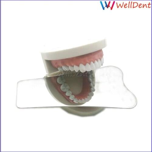 Dental Lab Mirror Orthodontic Intra-oral Mirror Photographic Reflector Stainless Steel Reflection Mirror Dental Instrument