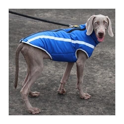 Winter Dog Pets Clothes Waterproof Big Dog Vest Jacket for Small Large Dogs Cats Vest Chihuahua Pug French Bulldog Clothes Vest