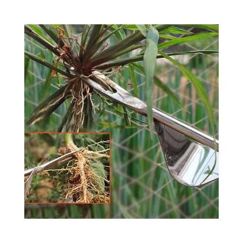1PC Garden Weeder Tool Lawn Sturdy Digging Puller Hand Weeding Effective Easy Apply Trimming Removal Grass puller Long Handle