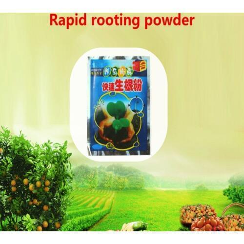 10 Pieces Extra Fast Abt Root Plant Flower Transplant Fertilizer Plant Growth Improve Survival For All Kinds Of Bonsai Flowers