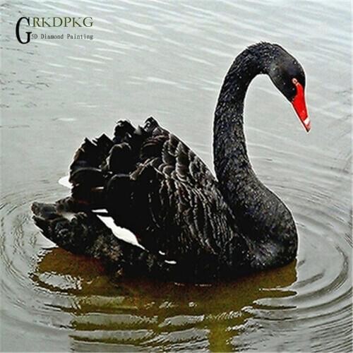 Diamond Mosaic Special Shaped Diamond Painting Cross Stitch Black Swan 5D Diy Home Decoration Painting Wedding decoration drill
