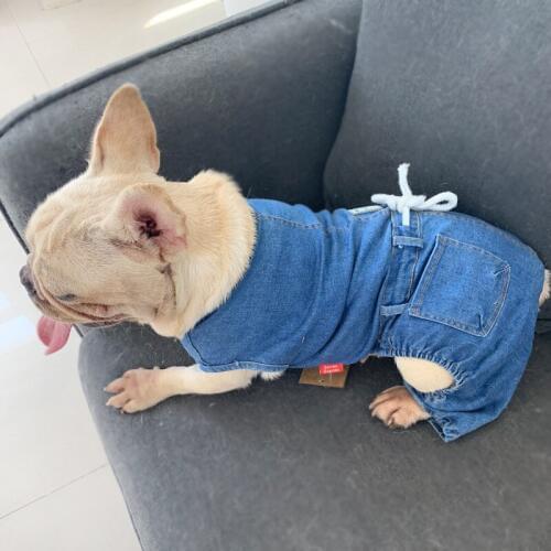 Dog Clothes for Small Dogs Demin Jumpsuit for French Bulldog Yorkie Pug Overalls All Match Rompers for Puppy Cat Pet Costume