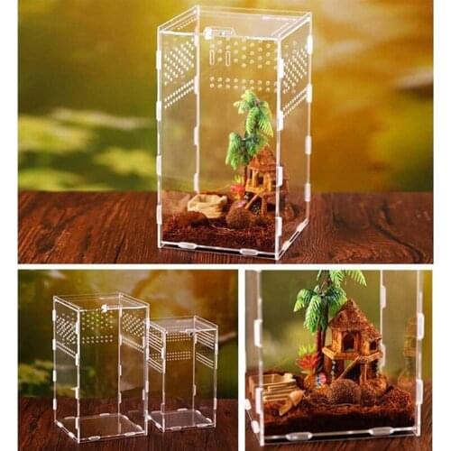 Reptile Feeding Box Transparent Insect Breeding Box Entis Acrylic Assembled Terrarium Breathable Spider Scorpion Container