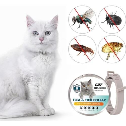 Pet Anti Flea Ticks Collar Cats Collar 8-Month Flea And Tick Prevention For Cats 3 Months Of Age And Older