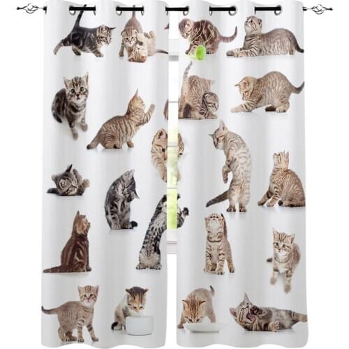 Cute Kitten Pet Cat Window Curtains Dark Kitchen Indoor Decor Kids Swag Curtain Panels With Grommets Window Treatment Valances