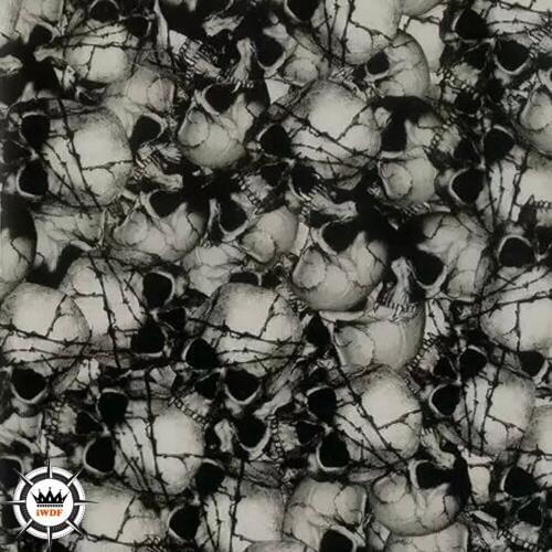 3.3ft/6.6ft/19.7ft/33ft length hidrografik film Width 1.64ft hydrographic film H866