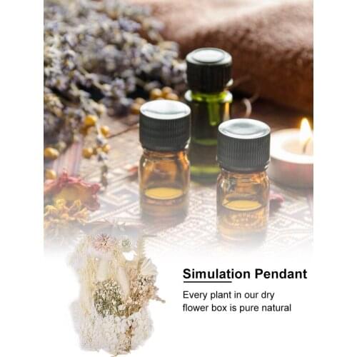 Dry Flowers True Dried Pressed Flowers Dried Flowers Leaves Bulk For DIY Candles Epoxies Pendants Necklaces Jewelry famous