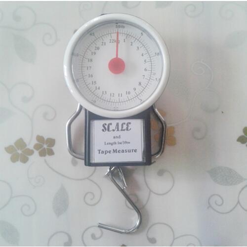 PortableMachinery spring balance Luggage Scale Fish hook scales Gift scales Shopping scales 22KG 250G