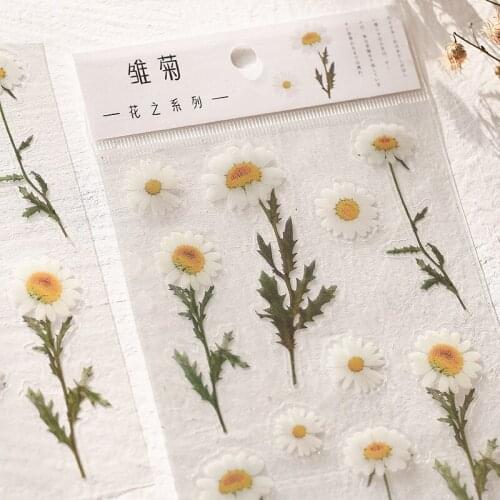 PET Daisy Iris Eucalyptus Globulus Flower Serie Diary Decorative Stationery Stickers Scrapbooking DIY Diary Album Stick