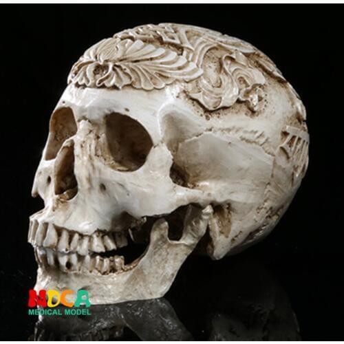 Human.skull model medical simulation teaching equipment resin skull Ornament Gift YTTG017