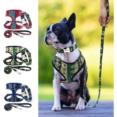 Personalized Dog Collar Leash Harness Set Free Customized Dog ID Collar Nylon Mesh Pet Harness Lead For Small Medium Large Dogs