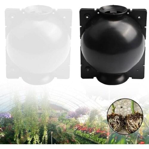 Garden Plant Rooting Ball Grafting Root Growing Box Breeding Case Container