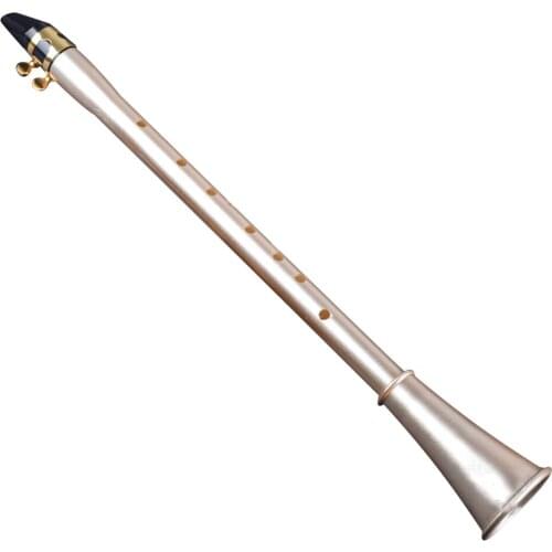 Pocket Clarinet Sax Mini Portable Clarinet-Saxophone Little Saxophone bE/bB/C/D/E/F Key With Carrying Bag Woodwind Instrument