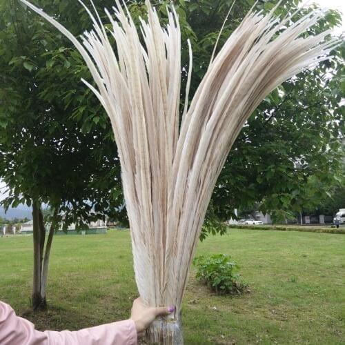 Wholesale! Precious 100pcs/lot beautiful White 36-40inches/90-100cm Natural pheasant feathers For Wedding Decor,Party Supplies