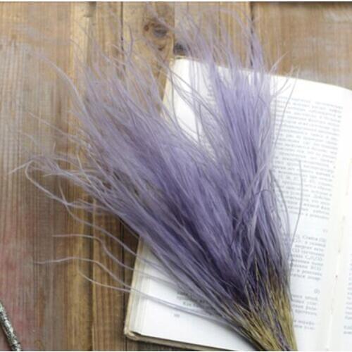 15g 15-30cm Preserved Purple Slender Grass Flowers Feather For Craft Gift Material Accessory Decoration Flower Arranging DIY