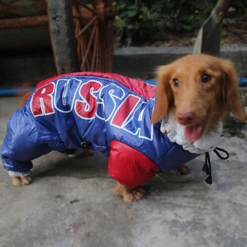 Lovoyager pet clothing winter dog clothes waterproof dog jacket coat Russian windproof Dachshund dog jumpsuit