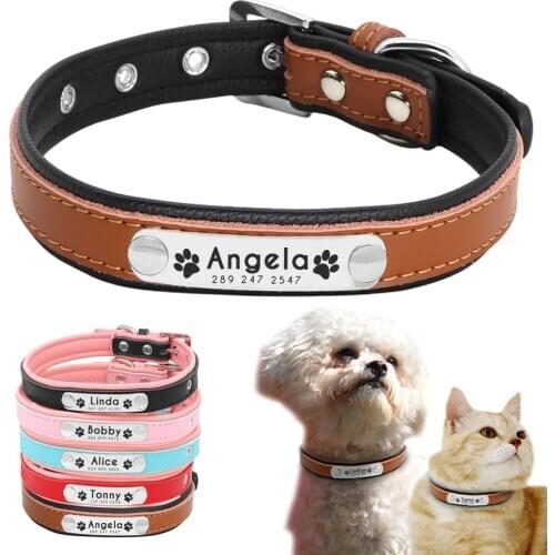 Leather Dog Collar Customized Dog Collar Padded Pet Name Antilost Dogs Collars Free Engraving for Small Medium Dogs