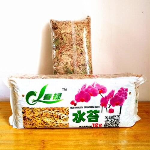 12L Garden Supplies Sphagnum Moss Moss Sphagnum Nutrition Organic Fertilizer For Orchid Phalaenopsis Musgo Sphagnum Flower