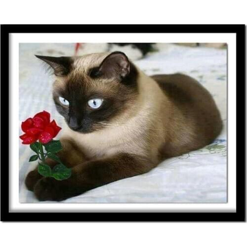 Diamond Embroidery 5D DIY Diamond Painting Cute Cat and Red Flowers Diamond Painting Cross Stitch Rhinestone BK226