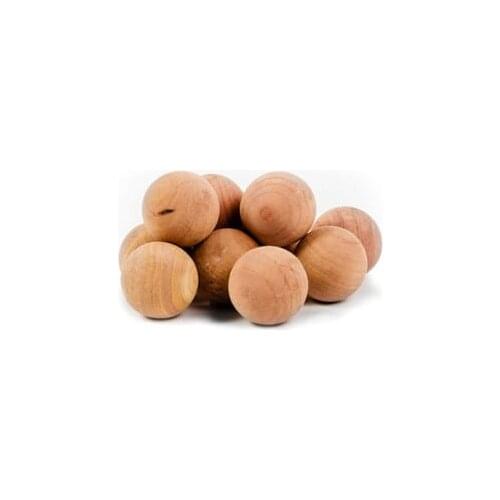 Bambum Mold Protection