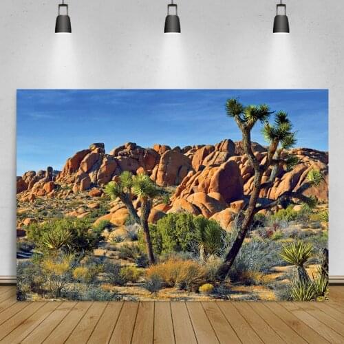 Laeacco Desert Shrub Cactus Stone Hillside Natural Scenic View Photography Background Photo Backdrop Photocall Photo Studio