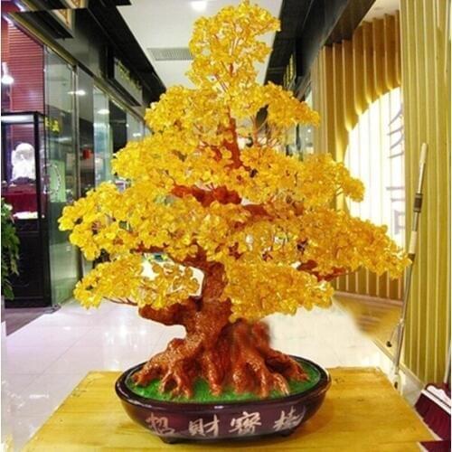 Extra large NATURAL color quartz gemstone TREE REIKI Healing