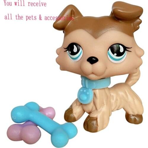 Pet Shop Collie Tan and Brown Blue Eyes #893 Clear Peg Magnet Foot with Cute Accessories Lot