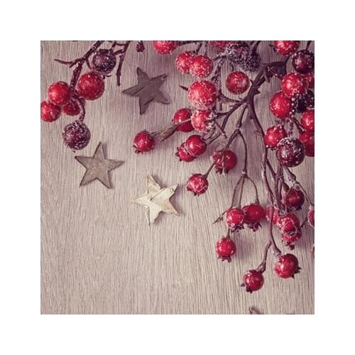 VinylBDS Chrismas Custom Made Backdrops Fondos De Estudio Fotografia wooden Christmas Backdrops Photography Backdrops For kids