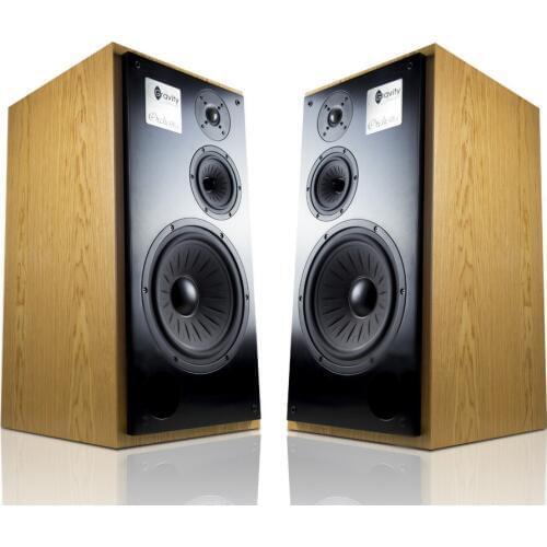 N-001 Gravity-acoustic Orchestra 11 inch Three-way HiFi bookshelf speaker Eton 28S tweeter+5-512 midrange+11-612 woofer speaker